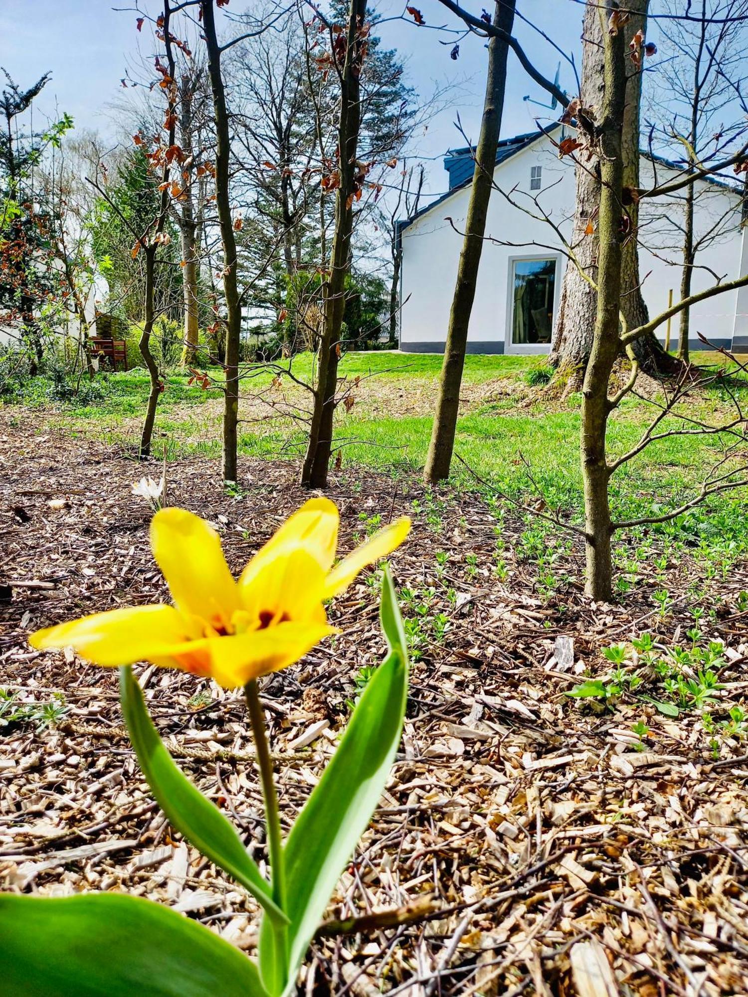 Freiraum Ferienhaus Hellenthal Exteriér fotografie